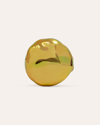 Caracola Brooch