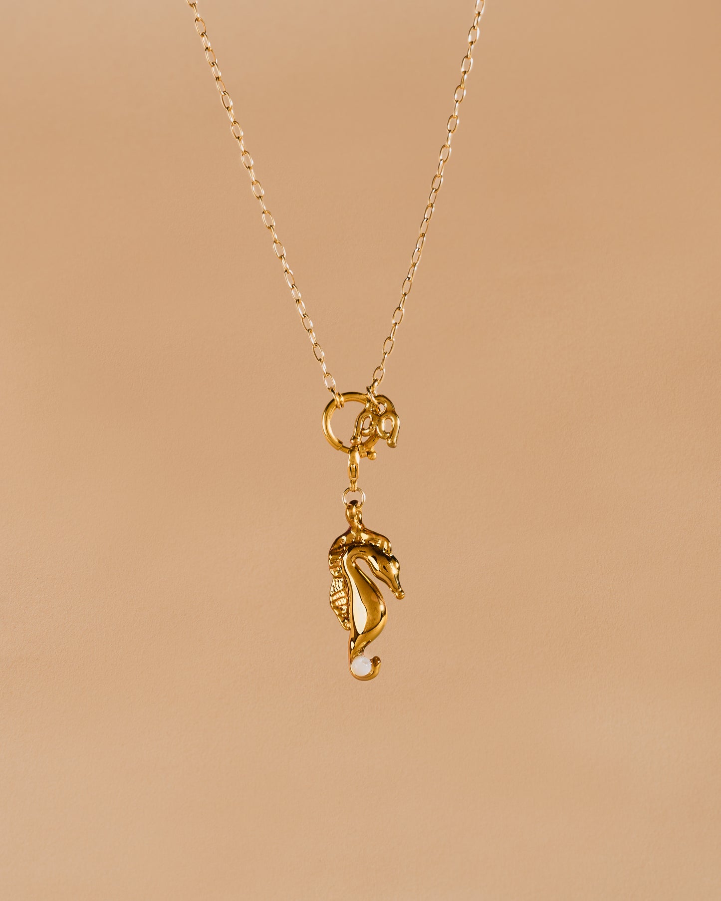 CHARMANT HIPPOCAMPE